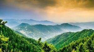 Murree murree rozefs tourism