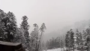 Murree Tour Package Murree Tour Package - Rozefs Tourism