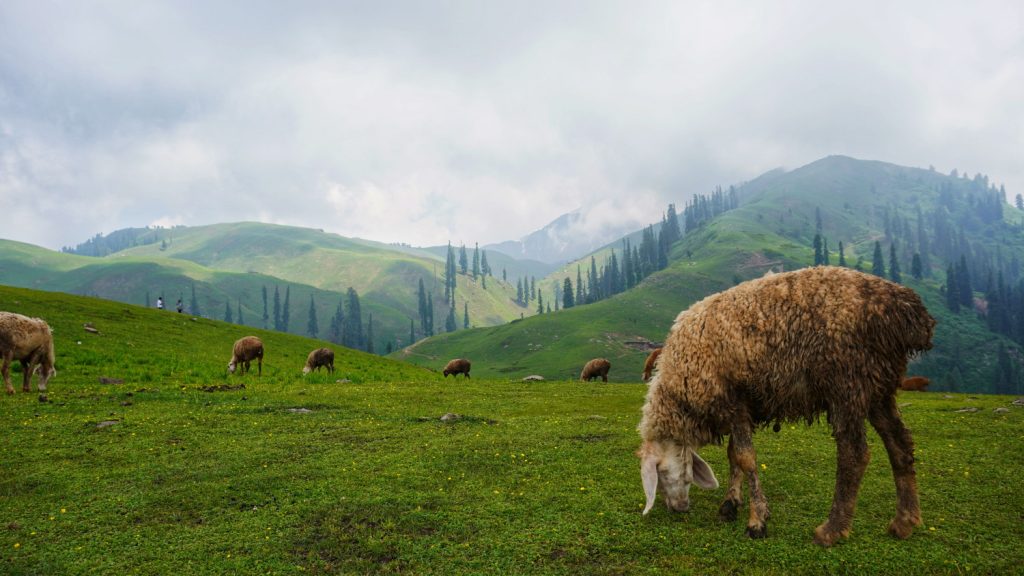 Top Honeymoon Destinations Northern Pakistan - Rozefs Tourism