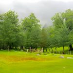 Sharan Forest - Rozefs Tourism