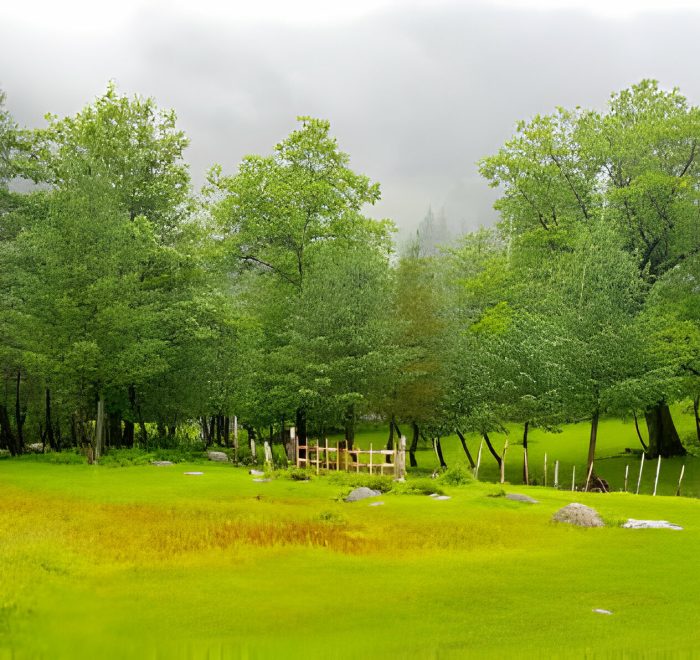Sharan Forest - Rozefs Tourism