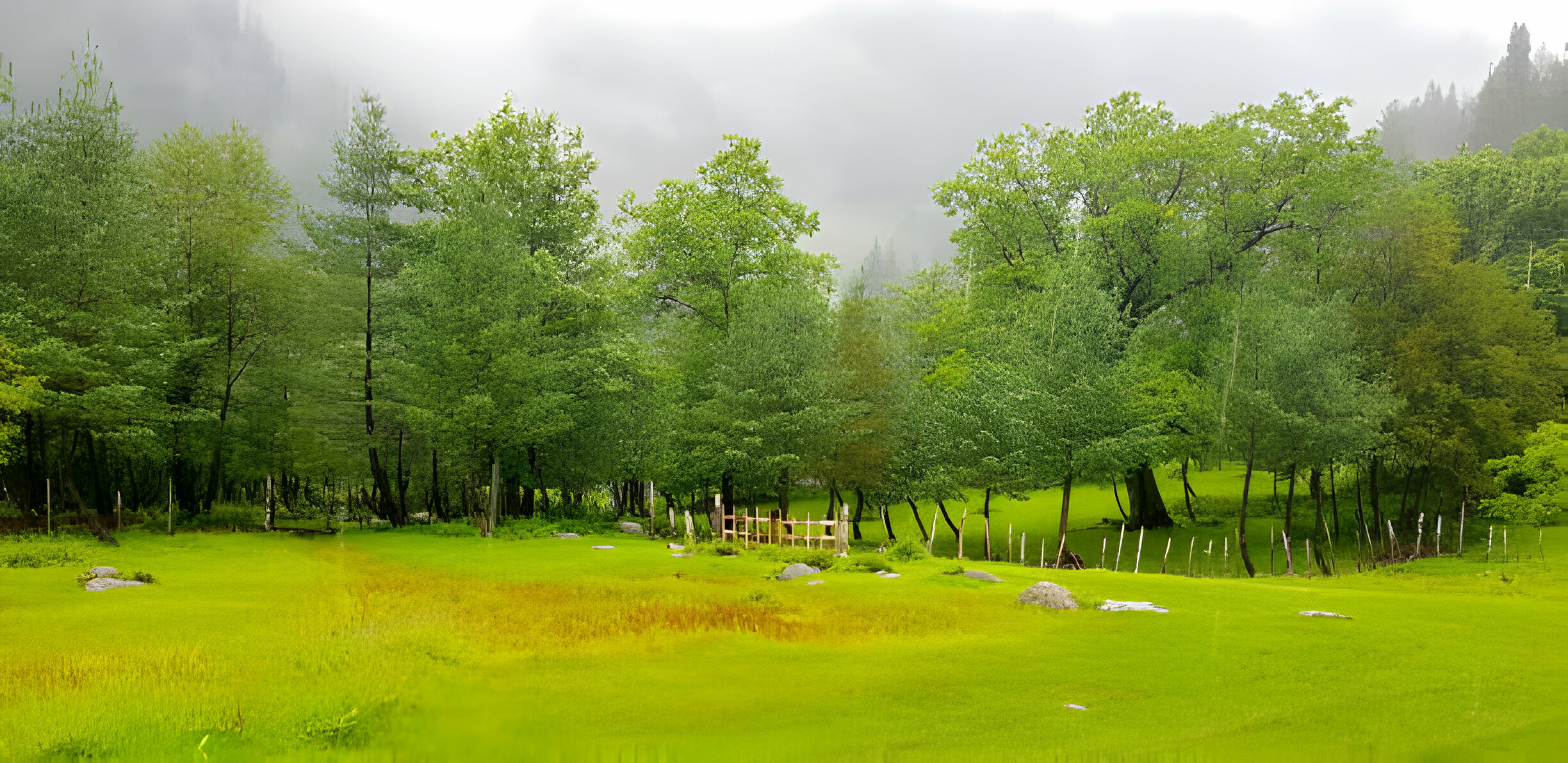 Sharan Forest - Rozefs Tourism