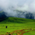Shogran Valley - Rozefs Tourism
