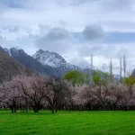 Skardu Honeymoon Tour - Rozefs Tourism