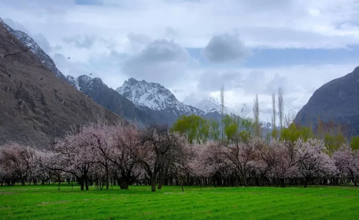 Skardu Honeymoon Tour - Rozefs Tourism