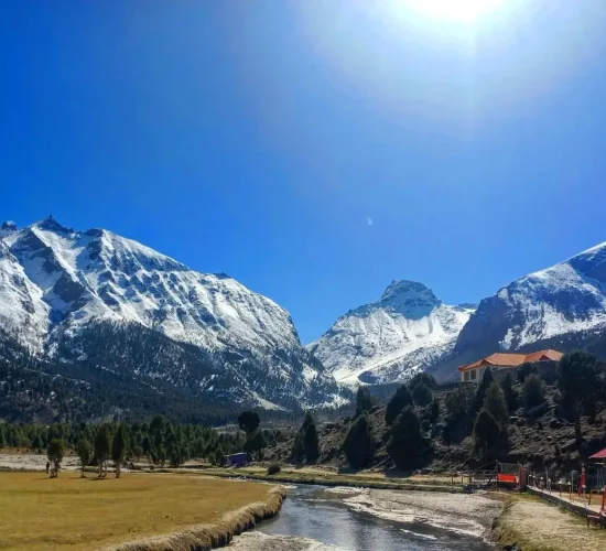 basho valley in blossom